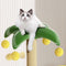 Marco de trepaprender de gato de árbol de coco tropical