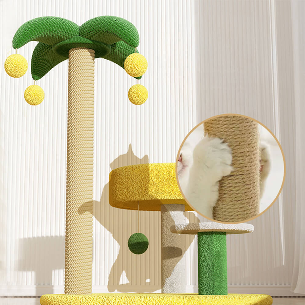 Marco de trepaprender de gato de árbol de coco tropical