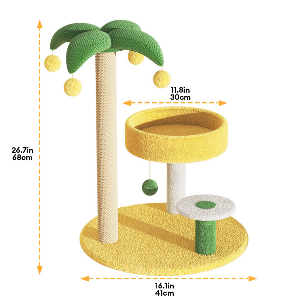 Marco de trepaprender de gato de árbol de coco tropical
