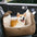 Bear Ears Pet Car Safety Bed Dog Car Seat Bed - FUNNYFUZZY