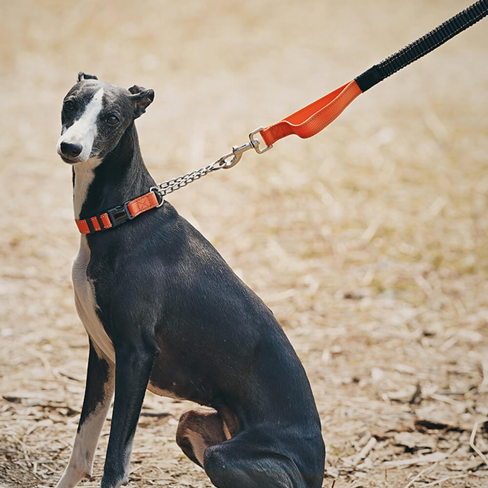 Collar y correa de perros anti-pull reflectantes multifuncionales