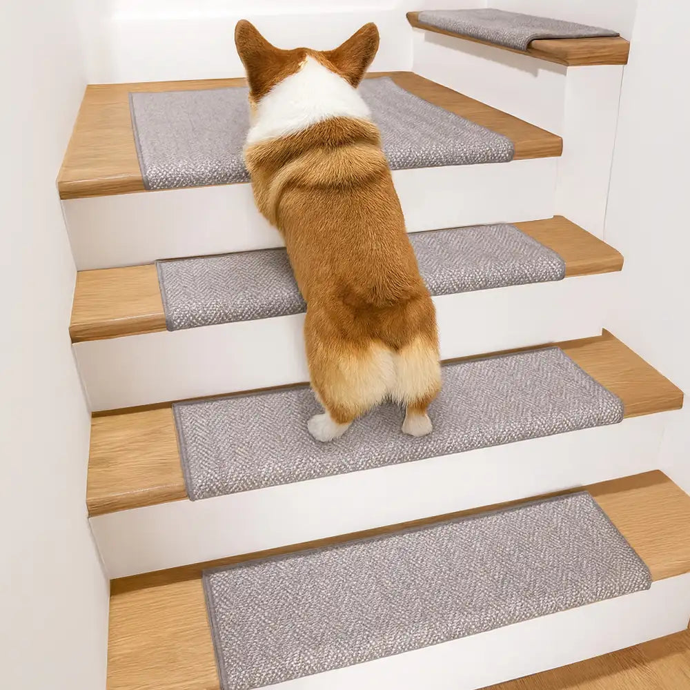 Espiga en espiga cinta de protección para la escalera resistente a la escalera de alfombra gratis