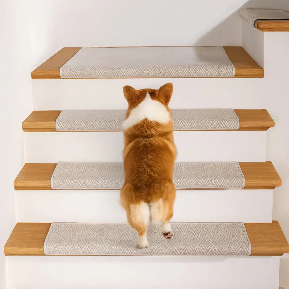 Espiga en espiga cinta de protección para la escalera resistente a la escalera de alfombra gratis
