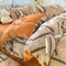 Ensemble de draps protecteurs de literie chauds en velours de lait Line Art