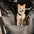 Full Leather Dog Pet Car Seat Bed - Fort - FUNNYFUZZY