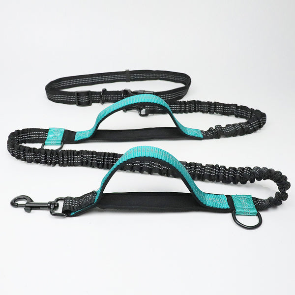 Multifunction Hands Free Dog Leash With Safety Seat Belt - FUNNYFUZZY
