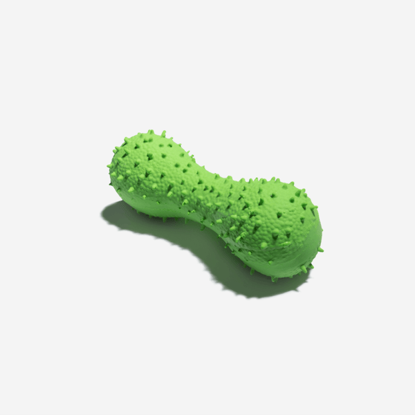 Cactus Shaped Squeaky Dog Toy - FUNNYFUZZY