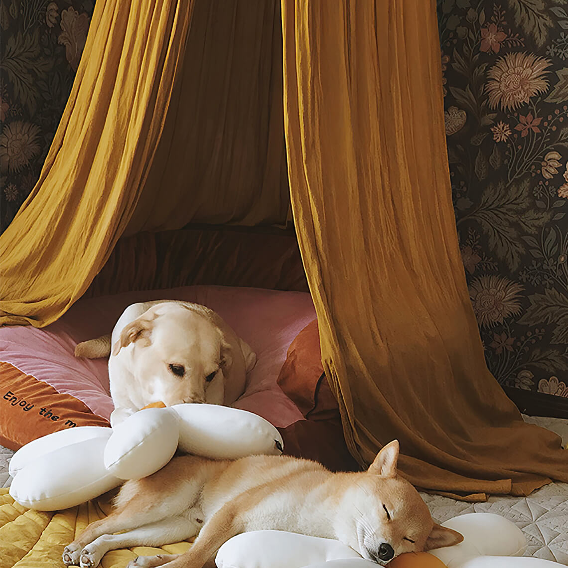 Stylish Soft Cozy Dog Tent  Dog Teepee - FUNNYFUZZY
