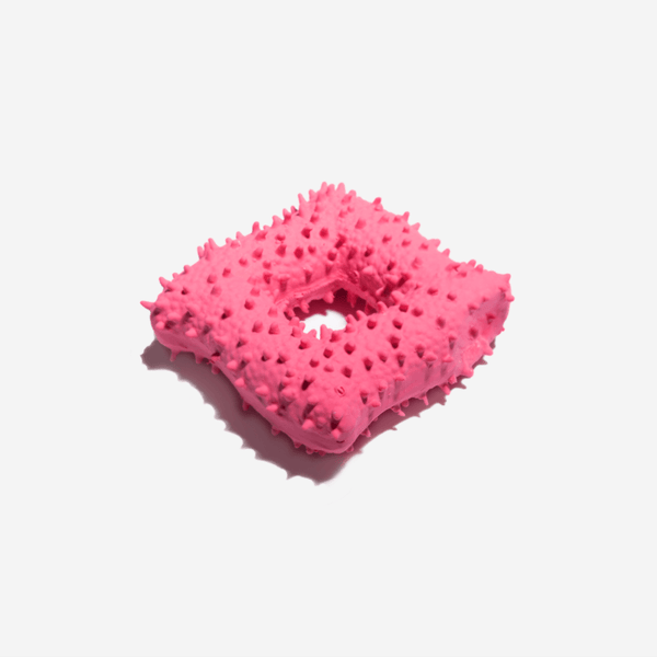 Cactus Shaped Squeaky Dog Toy - FUNNYFUZZY
