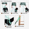 Gummy Dog Leash - FUNNYFUZZY