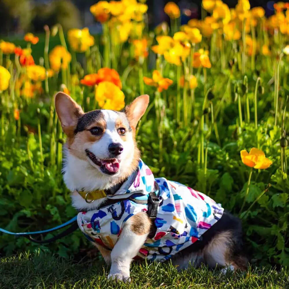Reversible Waterproof Dog Rain Coat - Graffiti & Iridescent - FUNNYFUZZY