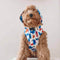 Reversible Waterproof Dog Rain Coat - Graffiti & Iridescent - FUNNYFUZZY