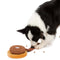 Plush Squeaky Dog Toy - Big Mac - FUNNYFUZZY