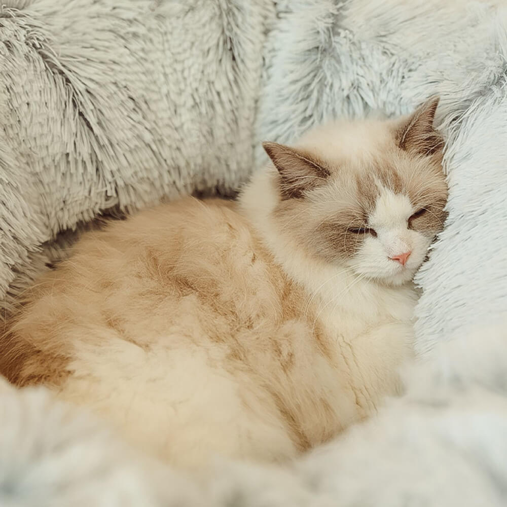 2 in 1 Foldable Indoor Soft Round Cat Tunnel Bed - FUNNYFUZZY