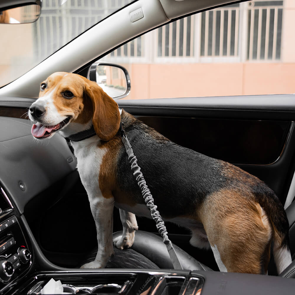 Car Seat Belt Buffer Adjustable Cool Dog Accessories - FUNNYFUZZY