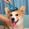 Pet Safe Dematting Comb Rake - Double Sided Blades - FUNNYFUZZY