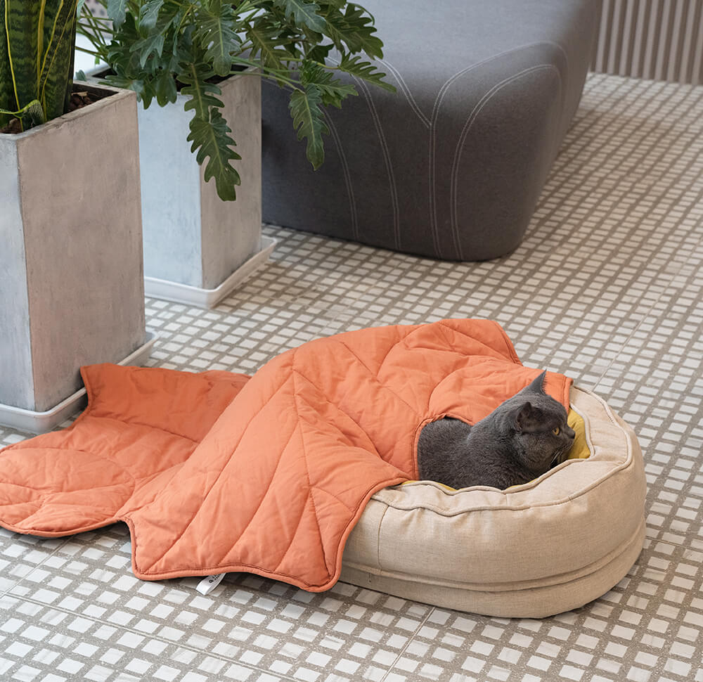 Donut Orthopedic Dog Bed - FUNNYFUZZY