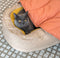 Donut Orthopedic Dog Bed - FUNNYFUZZY