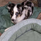 Leaf Shape Dog Blanket With Donut Dog Bed Luxury Dog Gifts - FUNNYFUZZY