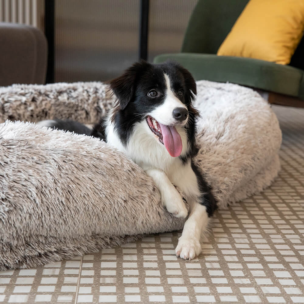 Luxury Super Large Human Dog Bed With Super Soft Pet Throw Blanket - FUNNYFUZZY