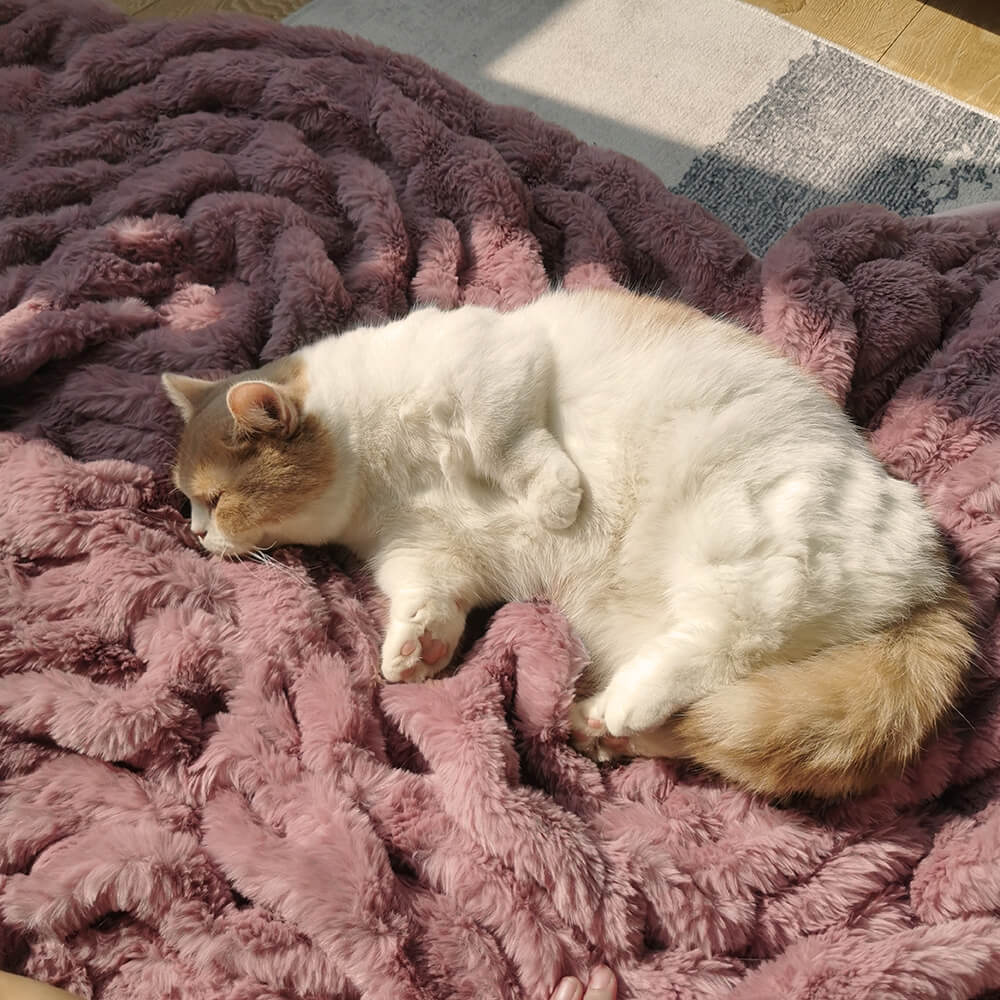 Super Soft Faux Fur & Velvet Luxury Pet Throw Blanket Human Blanket - FUNNYFUZZY