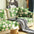 Super Soft Floral Anti-scratch Furniture Protector Couch Cover - FUNNYFUZZY
