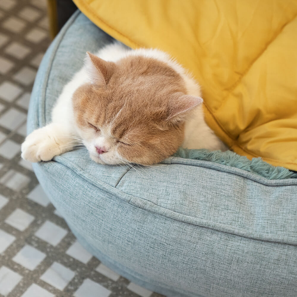 Donut Orthopedic Dog Bed - FUNNYFUZZY