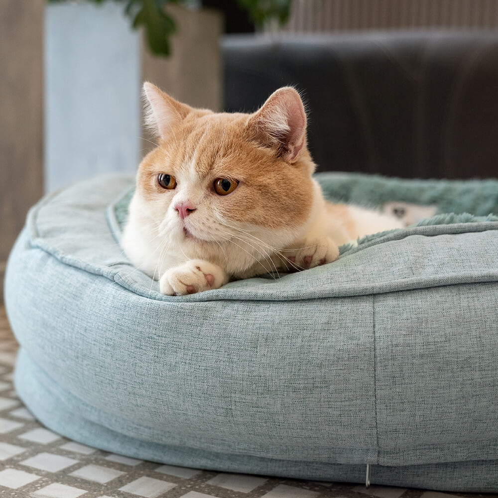 Donut Orthopedic Dog Bed - FUNNYFUZZY