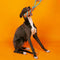 Knots Rope Dog Toy Set - Color Clash - FUNNYFUZZY