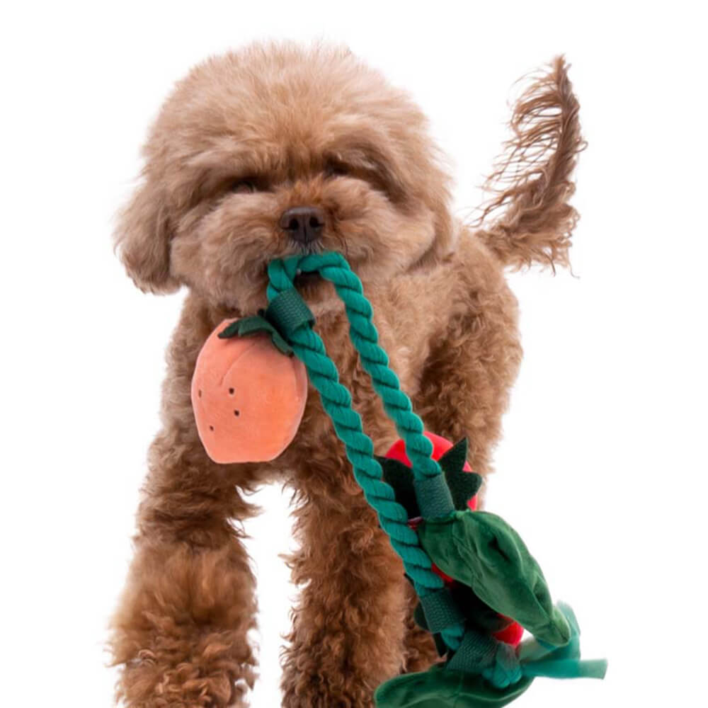 Plush Squeaky Dog Toy - Strawberry Potted - FUNNYFUZZY