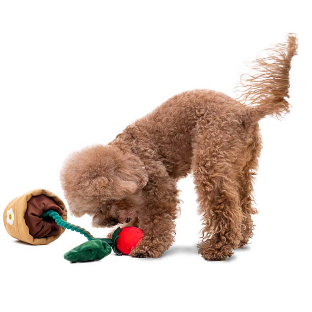 Plush Squeaky Dog Toy - Strawberry Potted - FUNNYFUZZY