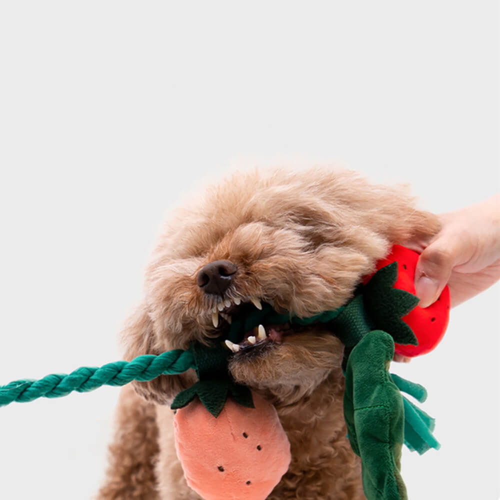 Plush Squeaky Dog Toy - Strawberry Potted - FUNNYFUZZY