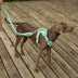 Gummy Cool Dog Accessories Walk Set - FUNNYFUZZY