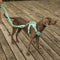 Gummy Dog Harness - FUNNYFUZZY
