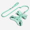 Gummy Cool Dog Accessories Walk Set - FUNNYFUZZY