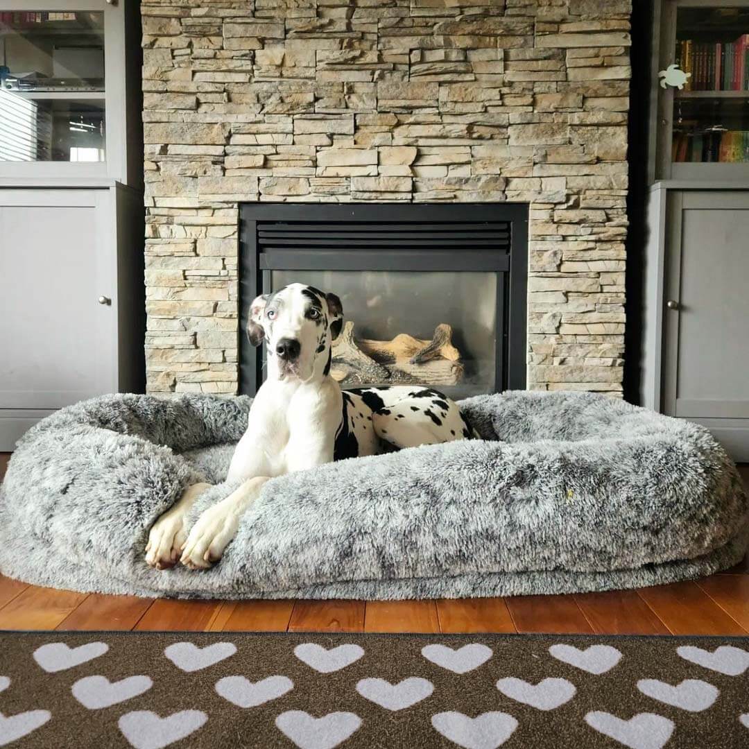 Luxury Super Large Sleep Deeper Oval Bed Human Dog Bed - FUNNYFUZZY