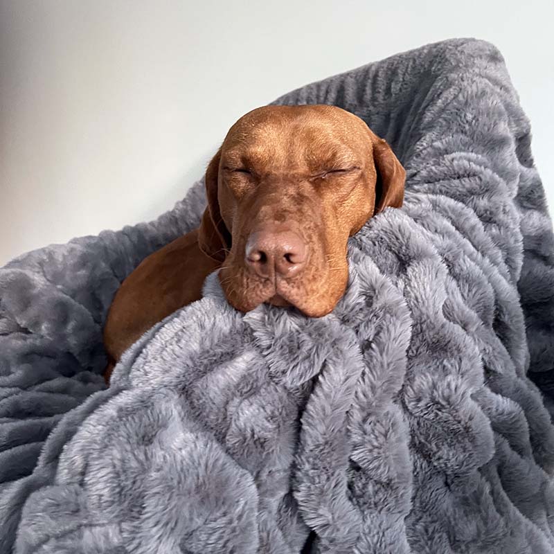 Super Soft Faux Fur & Velvet Luxury Pet Throw Blanket Human Blanket - FUNNYFUZZY